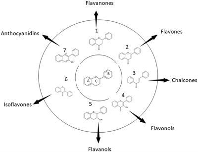 Cryopreservation of bioflavonoid-rich plant sources and bioflavonoid-microcapsules: emerging technologies for preserving bioactivity and enhancing nutraceutical applications